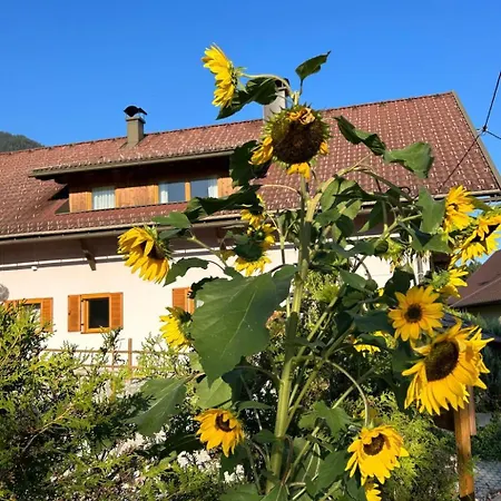 Daire Haus Sunshine By Interhome Hermagor-Pressegger See